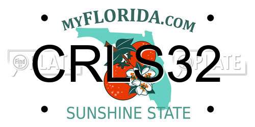 CRLS32 Florida License Plate
