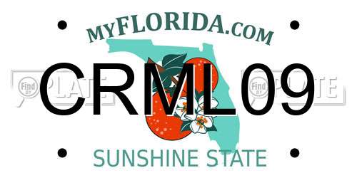 CRML09 Florida License Plate