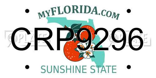 CRP9296 Florida License Plate