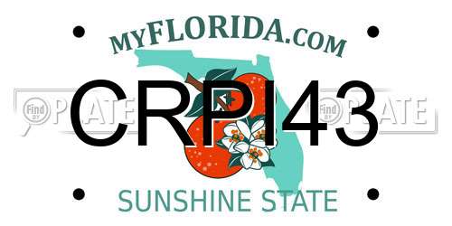 CRPI43 Florida License Plate