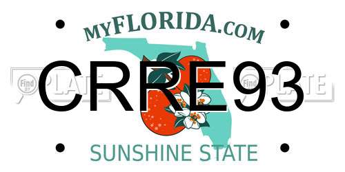 CRRE93 Florida License Plate
