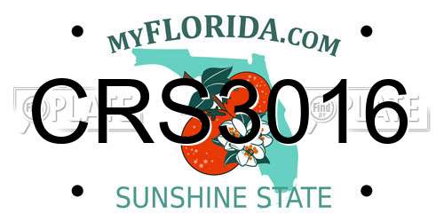 CRS3016 Florida License Plate