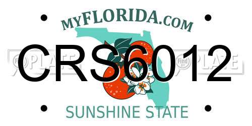 CRS6012 Florida License Plate