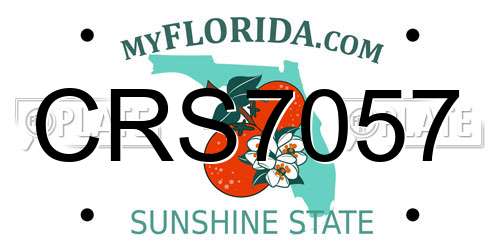 CRS7057 Florida License Plate