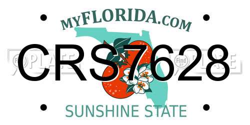CRS7628 Florida License Plate