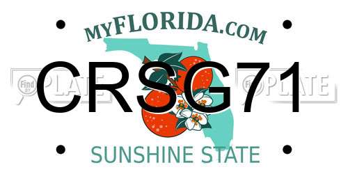 CRSG71 Florida License Plate