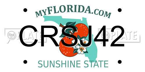 CRSJ42 Florida License Plate