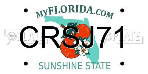 CRSJ71 Florida License Plate