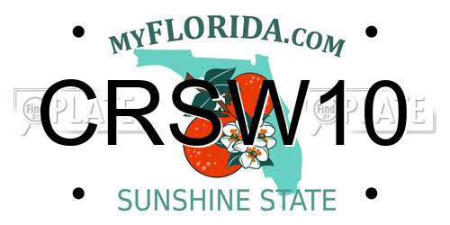 CRSW10 Florida License Plate