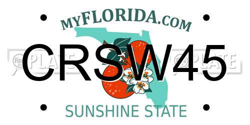 CRSW45 Florida License Plate