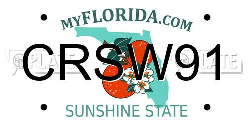 CRSW91 Florida License Plate