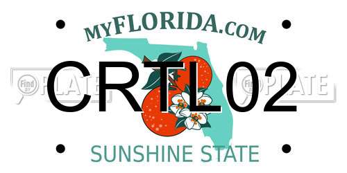 CRTL02 Florida License Plate