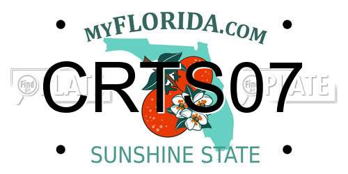 CRTS07 Florida License Plate