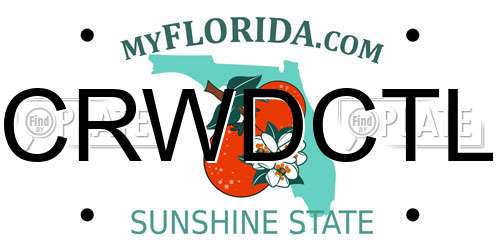 CRWDCTL Florida License Plate
