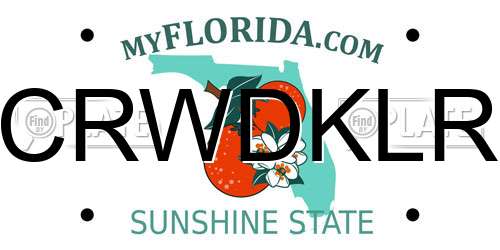 CRWDKLR Florida License Plate