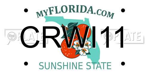 CRWI11 Florida License Plate