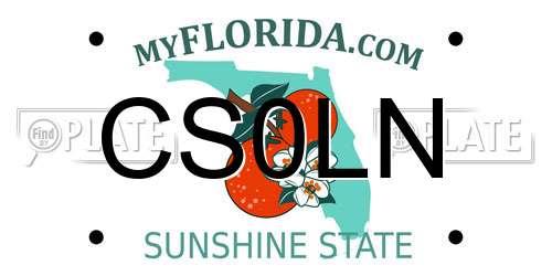 CS0LN Florida License Plate