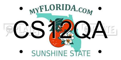CS12QA Florida License Plate