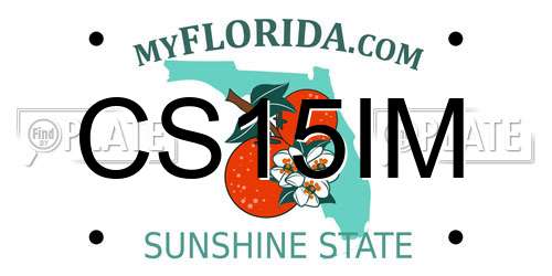 CS15IM Florida License Plate