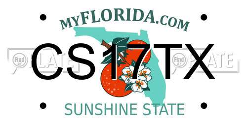 CS17TX Florida License Plate