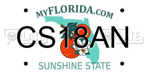 CS18AN Florida License Plate