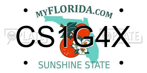 CS1G4X Florida License Plate
