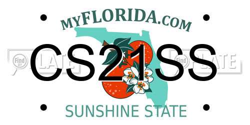 CS21SS Florida License Plate