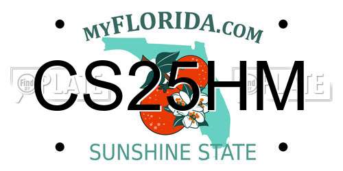 CS25HM Florida License Plate