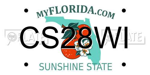 CS28WI Florida License Plate