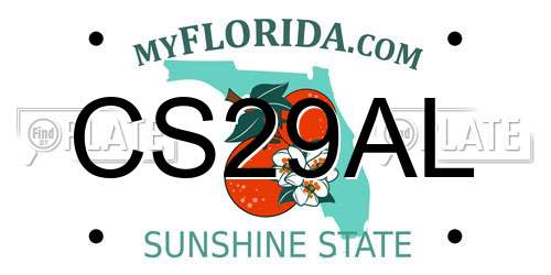 CS29AL Florida License Plate