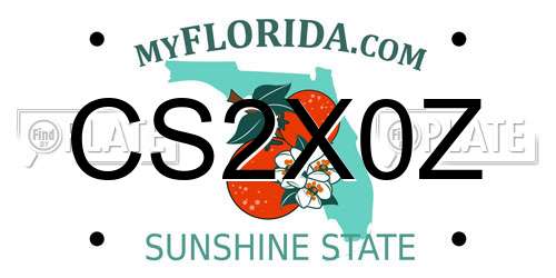 CS2X0Z Florida License Plate
