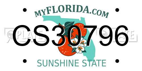 CS30796 Florida License Plate