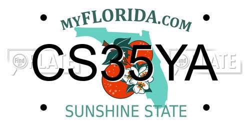 CS35YA Florida License Plate