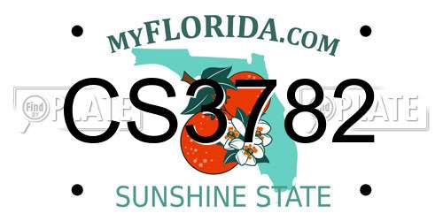 CS3782 Florida License Plate
