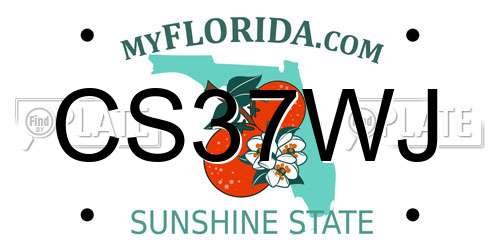 CS37WJ Florida License Plate