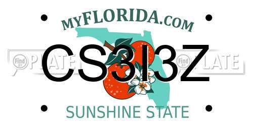 CS3I3Z Florida License Plate