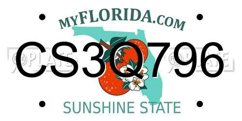 CS3Q796 Florida License Plate