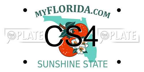 CS4 Florida License Plate