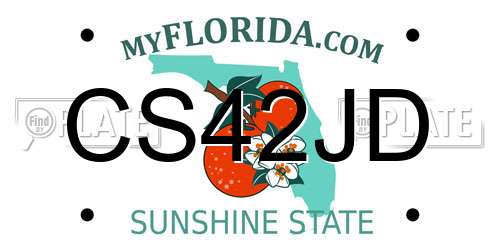 CS42JD Florida License Plate