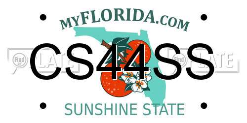 CS44SS Florida License Plate