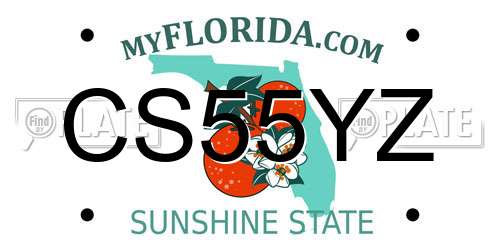CS55YZ Florida License Plate