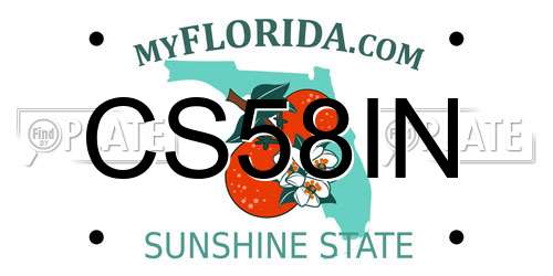 CS58IN Florida License Plate