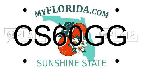 CS60GG Florida License Plate