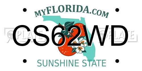 CS62WD Florida License Plate
