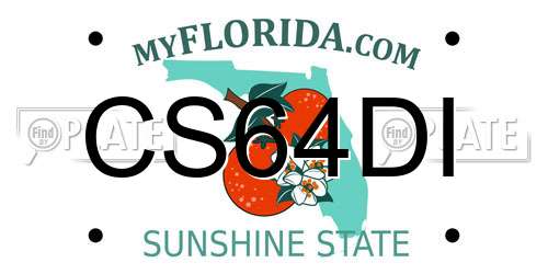 CS64DI Florida License Plate