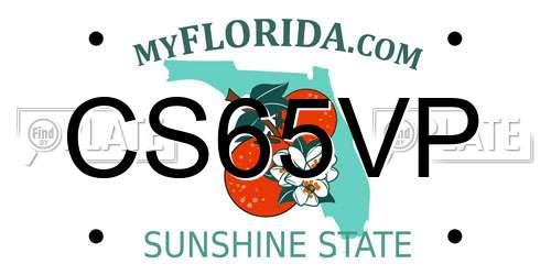 CS65VP Florida License Plate