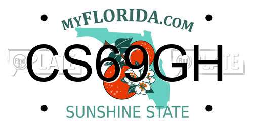 CS69GH Florida License Plate