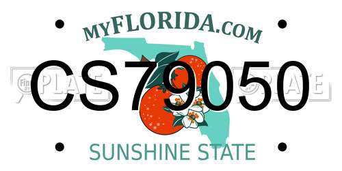CS79050 Florida License Plate