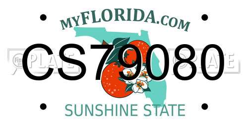 CS79080 Florida License Plate