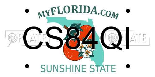CS84QI Florida License Plate